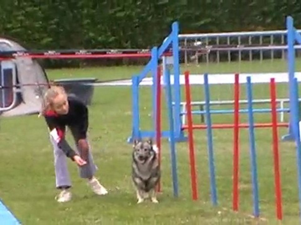 Pierrelatte 2010 Démon et Séréna GPF