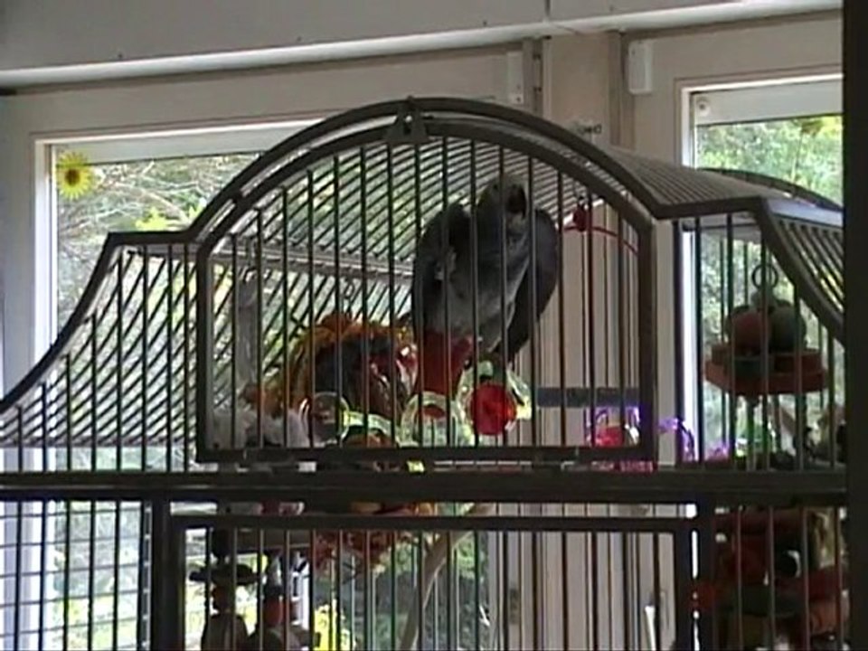 Attention ça va barder