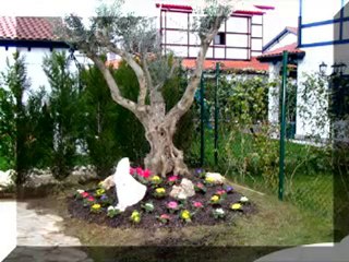 Jardineria - Jardineria Curso - Curso Jardineria