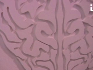 FRAGILE ETERNITY in APA!