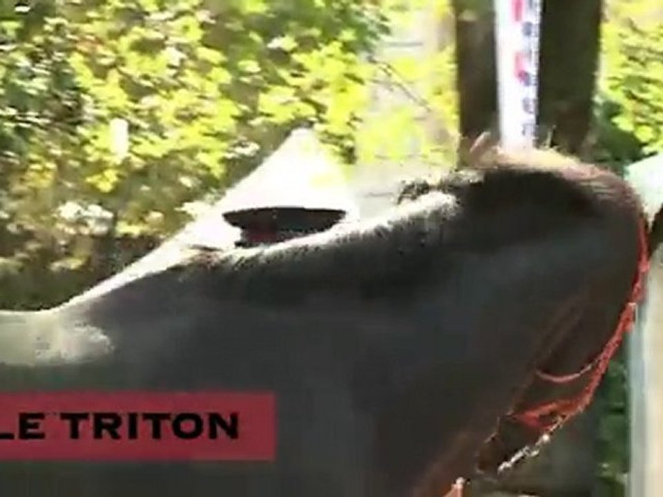 Le Triton, stationné au Haras National de Tarbes