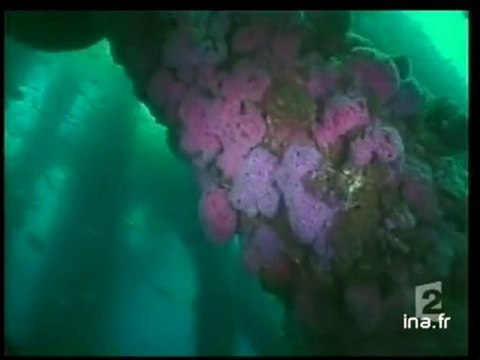 [Les récifs artificiels aux Etats Unis]