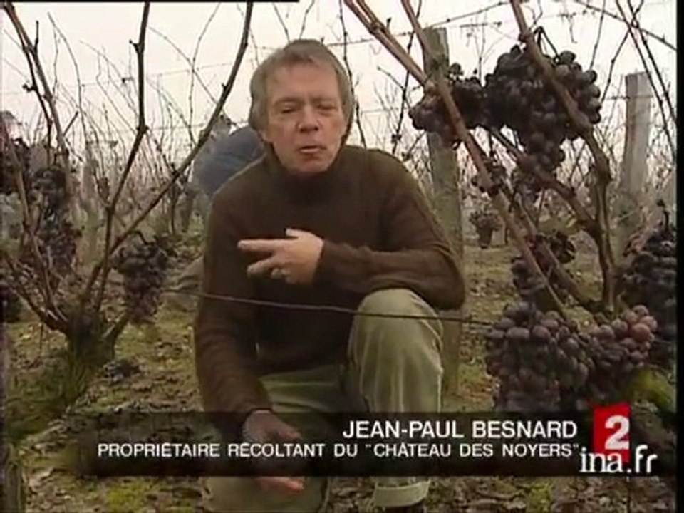 Concurrent du Sauterne : le Chenin