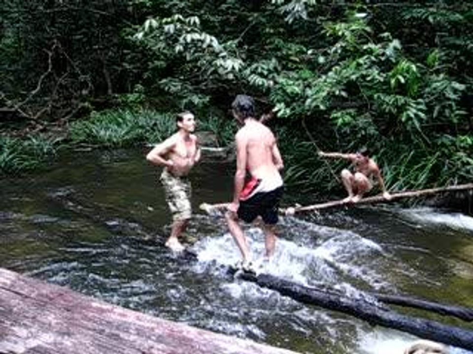 Quand les coupins ginchent....