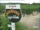 Tours : comité des vins de Touraine