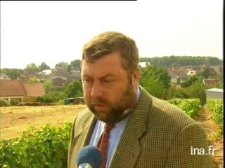 Quincy : 60 ans d'appellation d'AOC