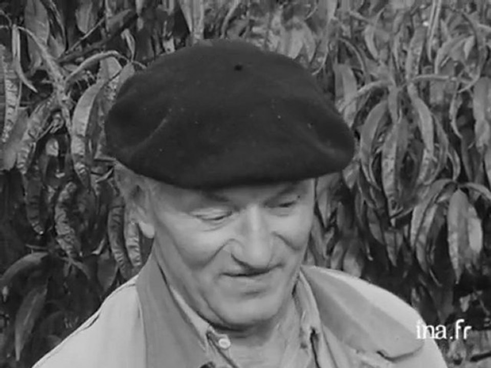 Les vignerons de l'Orléanais