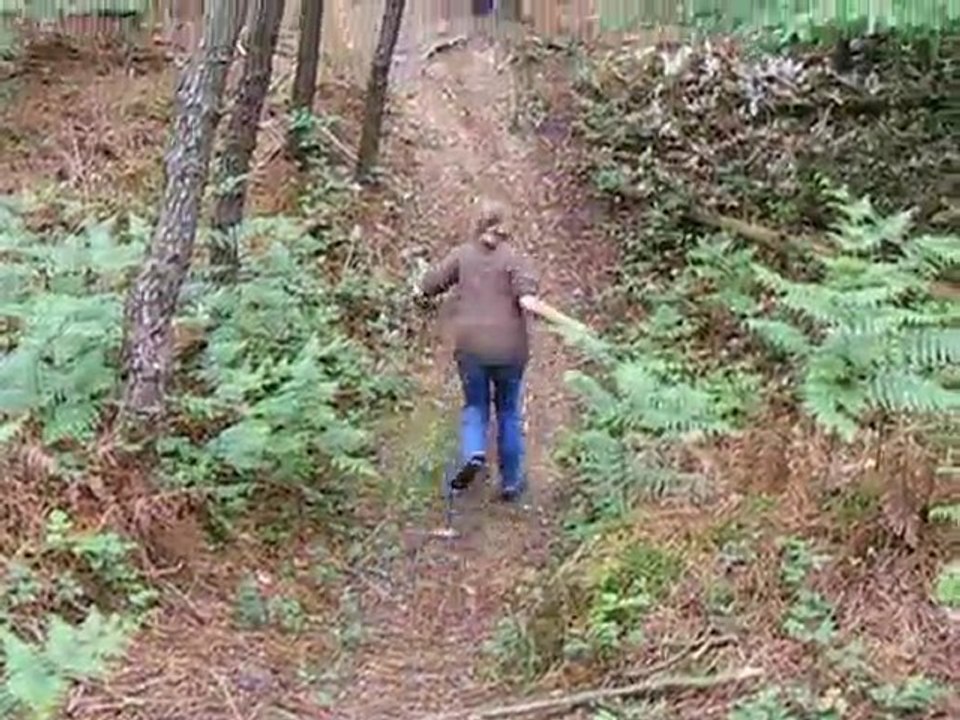 Les lutins souffleurs en balade 2