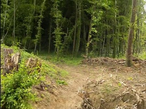 Diaporama de l'année 2010 - 25ème partie