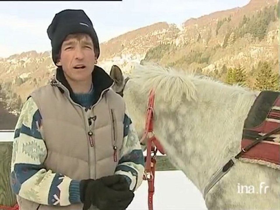 [Ski Joering au Mont Dore]