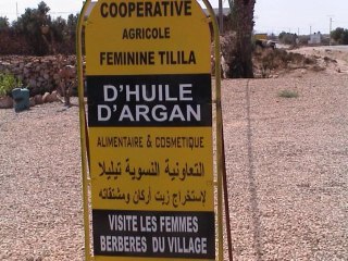 MAROC 2010 - Coopérative HUILE d' ARGAN