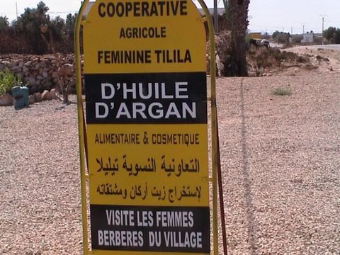 MAROC 2010 - Coopérative HUILE d' ARGAN