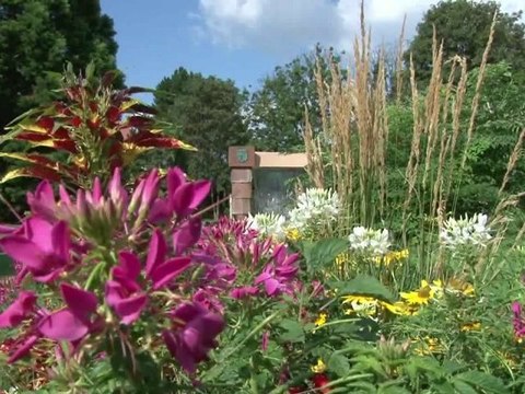 Maisons fleuries 2010