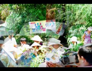 muoi, muỗi, diet muoi, diệt muỗi, phong chong muoi