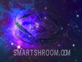 Mushroom mycelium made easy - HD