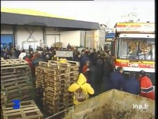 Tempête et marée noire : réaction du gouvernement