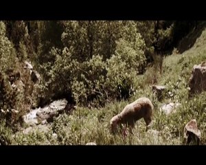 Dossier.K (Ne shqip)