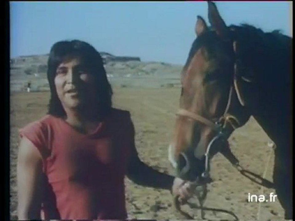 Réactions cow-boys américains