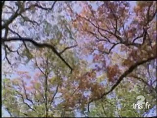 Disparus World Trade Center