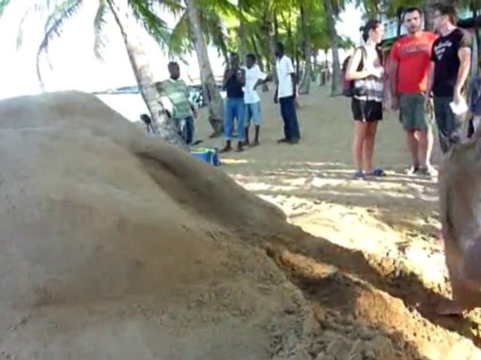 23 octobre 2010, plage des roches