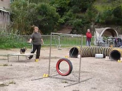 Bambou - Open Ollioules