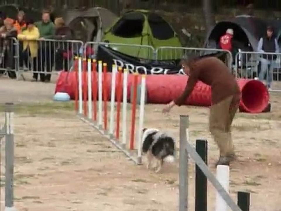 Cruz - Jumping Ollioules