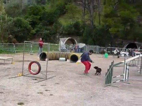 Asian - Open Ollioules