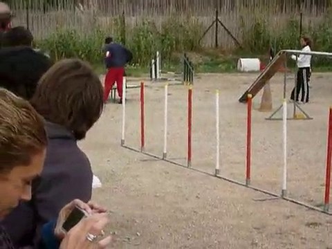 Asian - GPF Ollioules