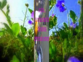 Magnificat sépulcre artistes et artisans