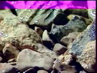 Les travaux du tunnel sous la citadelle de Besançon