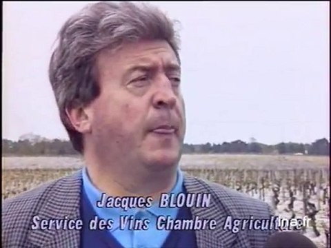 Concours des vins à la foire de Bordeaux