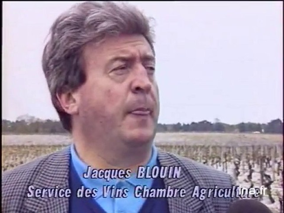 Concours des vins à la foire de Bordeaux