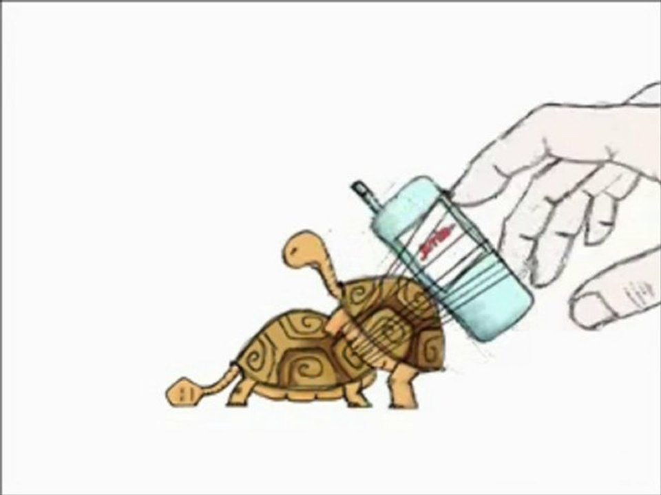 Turtle Sex