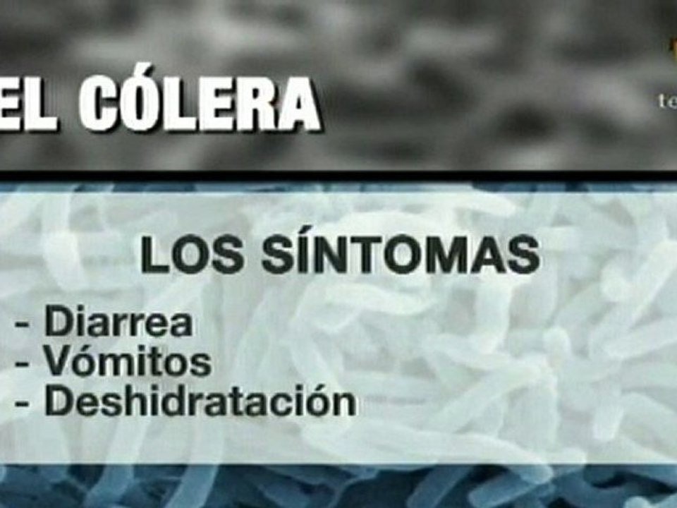 El cólera, una enfermedad de la pobreza