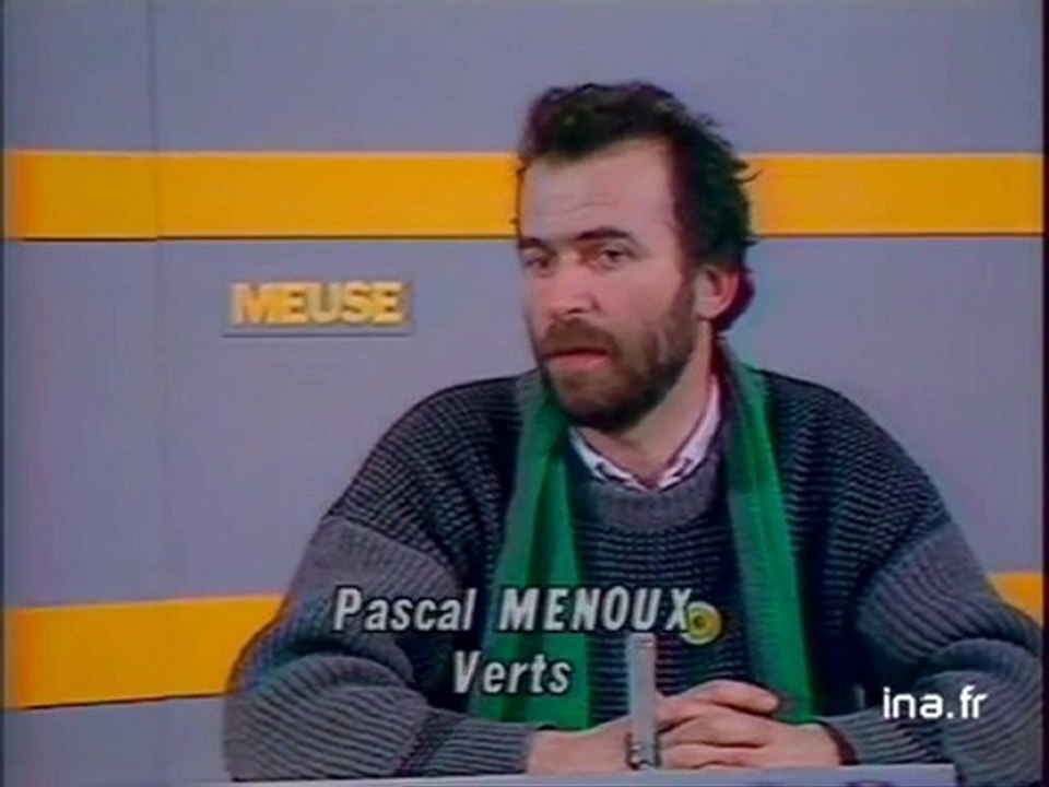 Elections municipales : poussée des Verts