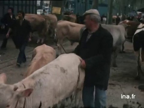 Agen Lot et Garonne, le dernier foirail du Gravier