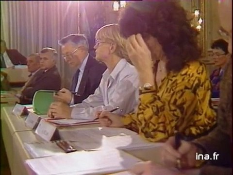 Conseil municipal de Rennes à propos du TCSP