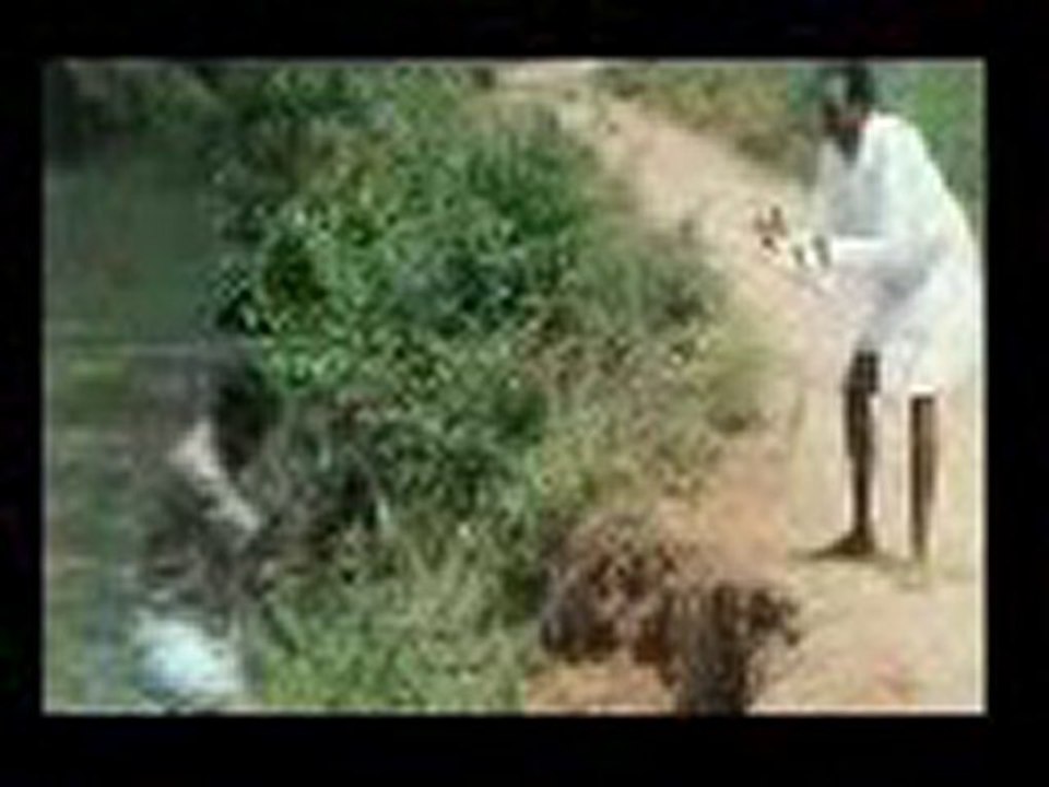 Vadivel river
