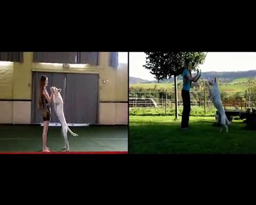 comparaison entrainement - concours