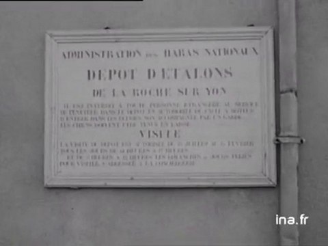 La Roche/Yon (Vendée) : spot haras