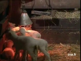 Visite Jiang Zemin en Corrèze