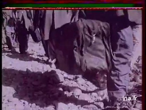 Réfugies rebelles afghans