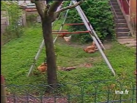 Rénovation maison Le Corbusier à Fruges