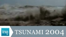 Tsunami du 26 décembre 2004 dans l'Océan Indien - Archive INA