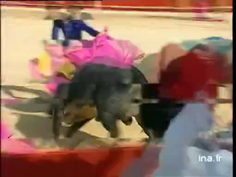 Corrida : troisième jour de Feria à Fenouillet