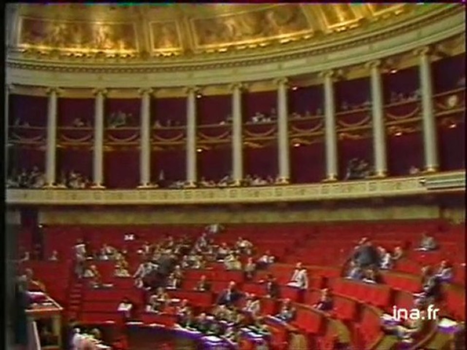 Assemblée nationale : bavure et immigrés