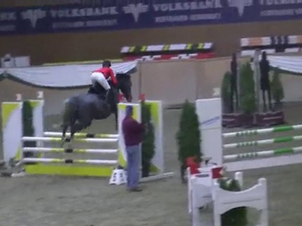 Calima P, Springpferdeprüfung Kl A(4-j.Pferde)