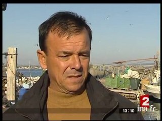 Pêche à l'Anguille en Méditerranée