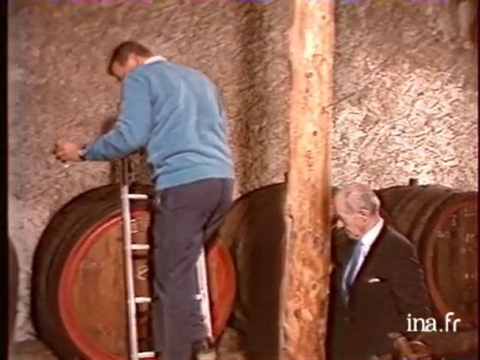 Les vins et vignobles des Côtes du Rhône