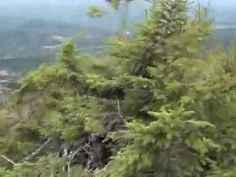 123.takaとkayoの世界旅行★トロンハイムinノルウェー(3日目) 世界遺産 動画